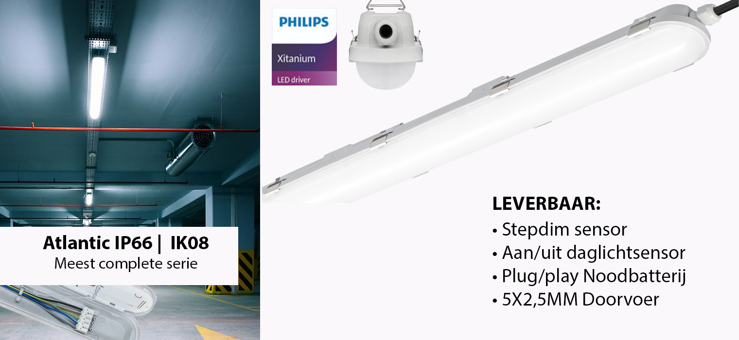 https://content24.logic4server.nl/clientdata/ThoressBV/images/1099597125-home-pagina-hero-video_16895015059647.mp4
