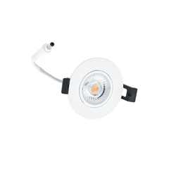 Interlight downlighter Camini spot  Kantelbaar